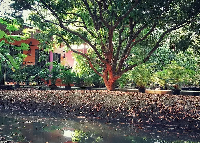 Warakorn Baansuan Amphawa